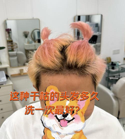 客户服务 第21页