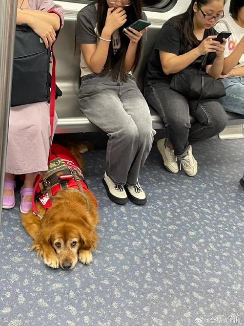 2025年5月 第69页