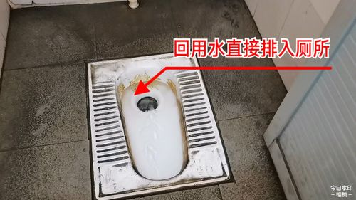 千万建10个厕所被查,